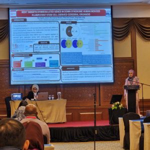 WhatsApp Image 2022-12-25 at 23.52.05